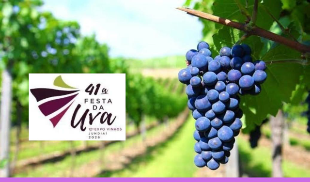 This image for Image Layouts addon