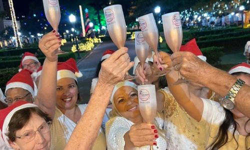 Galeria Natal Luz Pocos de Caldas Dezembro 2026 7