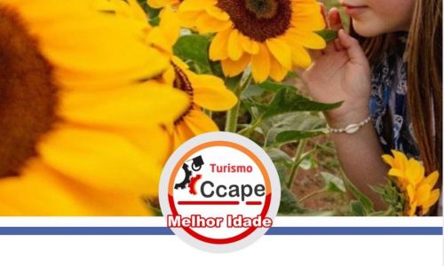 Holambra 2026 Ccape1