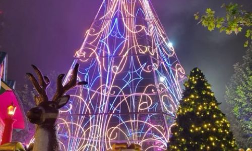 Natalluz Campos 202511