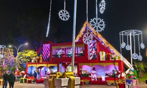 Natalluz Campos 202512