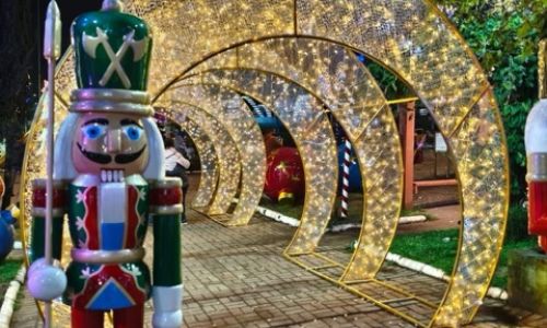 Natalluz Campos 20255