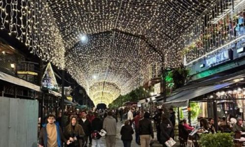 Natalluz Campos 20256