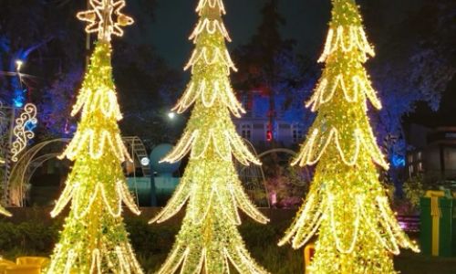 Natalluz Campos 20257