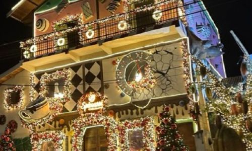 Natalluz Campos 20258