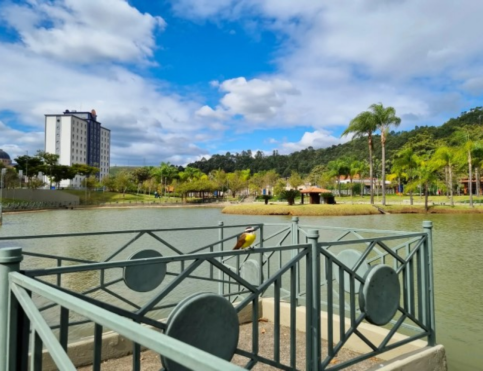 Roteiro Aparecida5